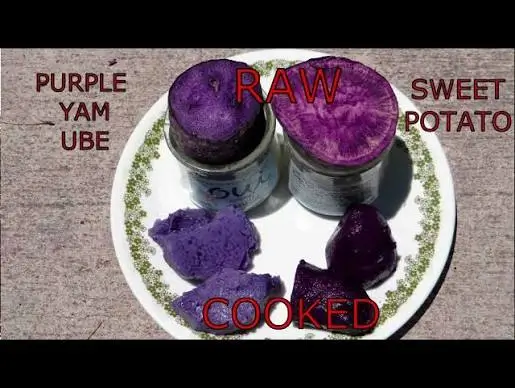 How to use ube powder in your daily life